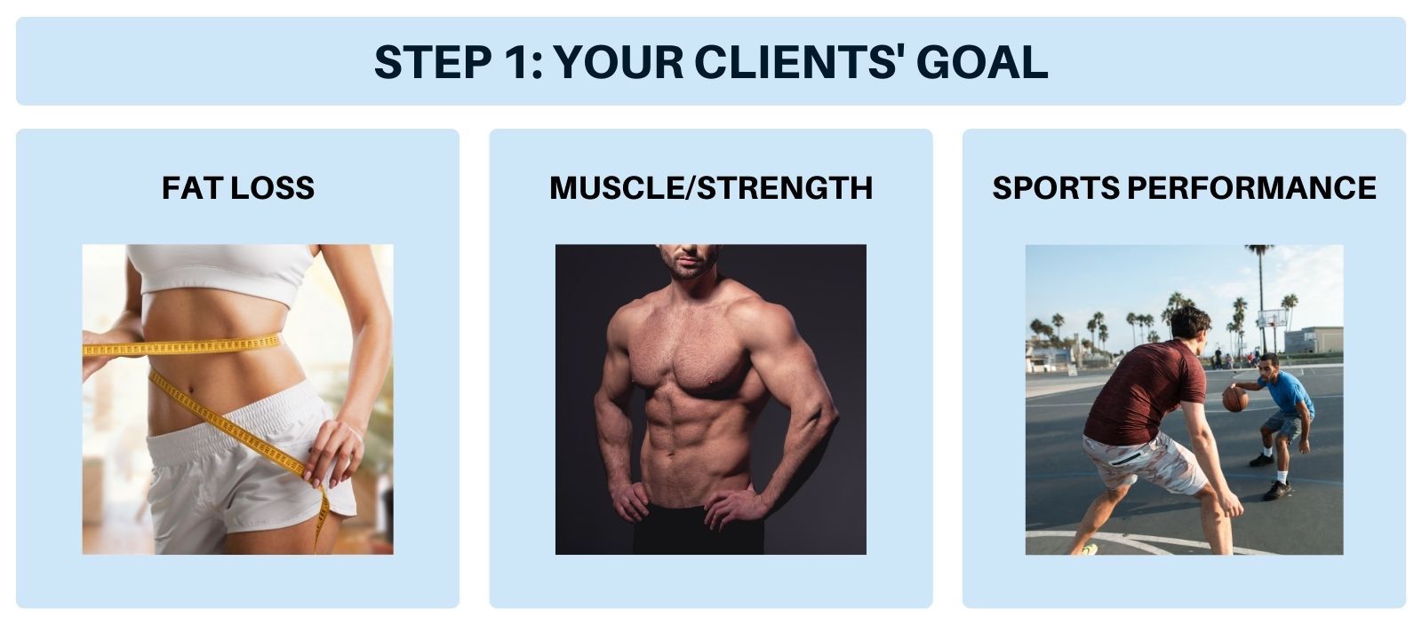 How to Design Workout Programs for Clients (Tips + Guide