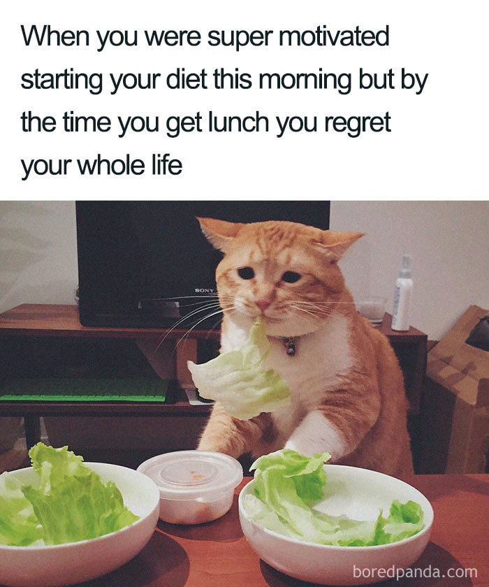 diet meme