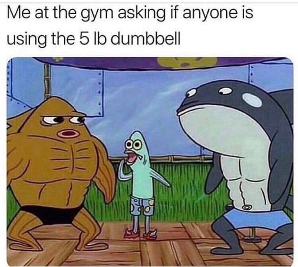 gym meme 7