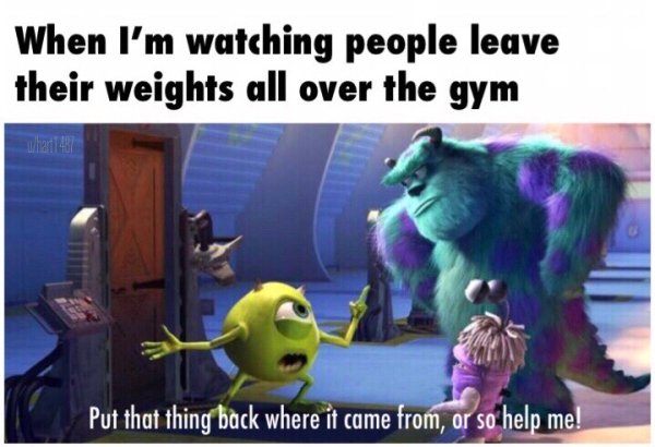 gym meme 8