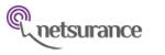 Netsurance PT Insurance