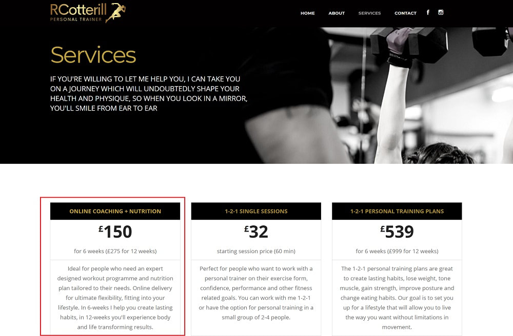 online fitness coaching service