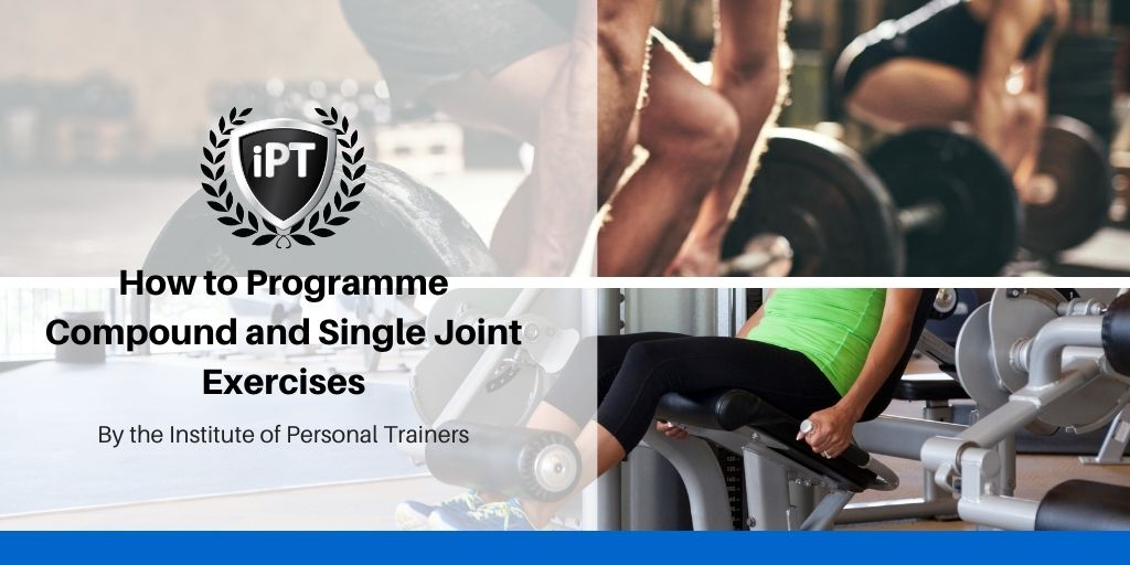How to Programme Compound and Single Joint Exercises
